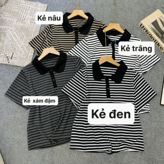Áo Thun Polo Bigsize Nữ Kẻ Sọc Ngang Tay Ngắn Chất Thun Co Giãn Form Rộng A351