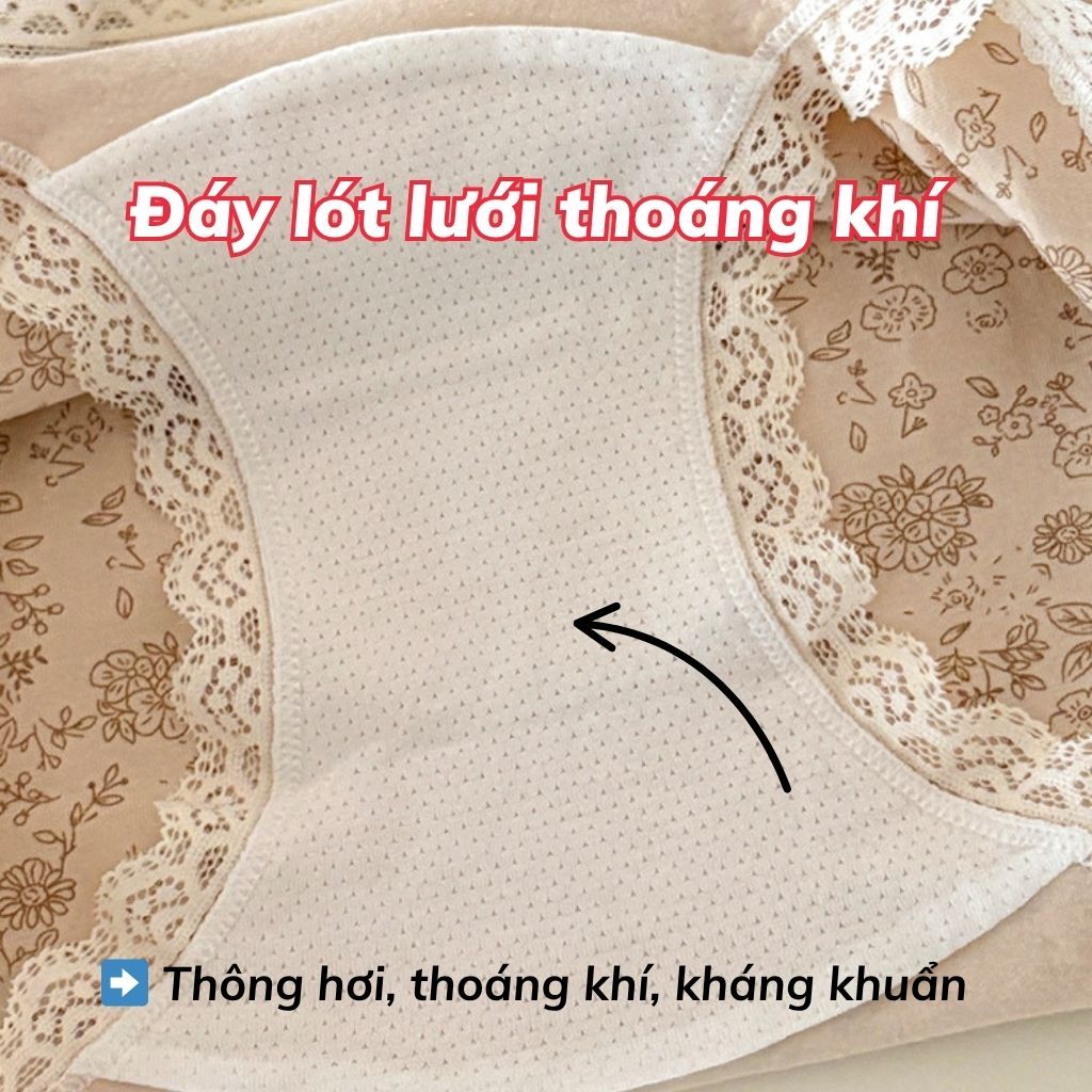 Quần lót nữ cotton cao cấp dáng boxer viền ren sang trọng gợi cảm sexy co giãn linh hoạt LANXA L5918