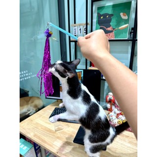 Cần câu mèo BAXO thủ công - Đẹp lạ mắt