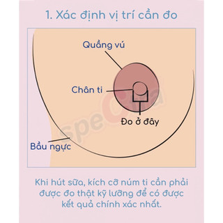 Bộ Dụng Cụ Cổ Rộng Spectra Chính Hãng Hàn Quốc (Size 16/20/24/28/32mm)