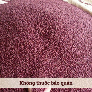 [500Gr] Đậu Đỏ Hạt Nhỏ Hồn Quảng – Đậu Sạch Non-GMO, Nhanh Mềm Thơm Bùi, Nấu Chè Xôi Sữa Hạt