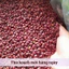 Đậu Đỏ Hạt Nhỏ Hồn Quảng – Đậu Sạch Non-GMO, Nhanh Mềm Thơm Bùi, Nấu Chè Xôi Sữa Hạt
