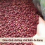 Đậu Đỏ Hạt Nhỏ Hồn Quảng – Đậu Sạch Non-GMO, Nhanh Mềm Thơm Bùi, Nấu Chè Xôi Sữa Hạt