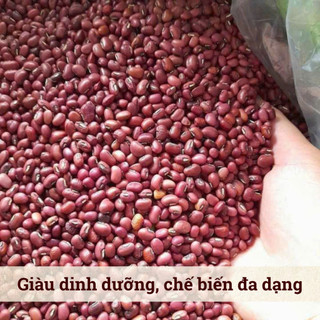 [500Gr] Đậu Đỏ Hạt Nhỏ Hồn Quảng – Đậu Sạch Non-GMO, Nhanh Mềm Thơm Bùi, Nấu Chè Xôi Sữa Hạt