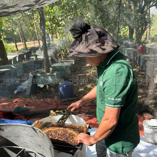 Combo Mật Ong Nguyên Chất Lạc Yên Foods Nguyên Liệu Pha Trà Làm Bánh Ngũ Cốc Dinh Dưỡng
