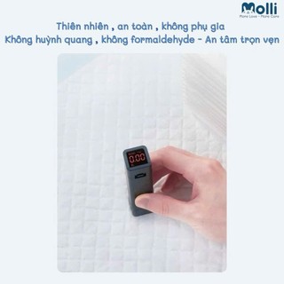Túi 100 / 60 / 35 miếng lót chống thấm Molli chính hãng dùng 1 lần