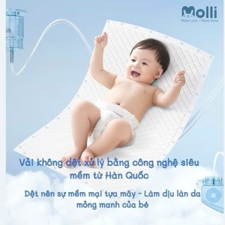 Túi 100 / 60 / 35 miếng lót chống thấm Molli chính hãng dùng 1 lần