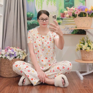 Tay ngắn quần dài tole lanh mặc nhà mát thấm hút mồ hôi dành cho nữ mặc ngủ và mặc làm việc nhà