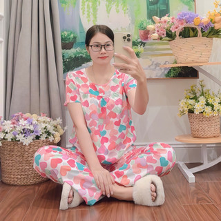 Tay ngắn quần dài tole lanh mặc nhà mát thấm hút mồ hôi dành cho nữ mặc ngủ và mặc làm việc nhà