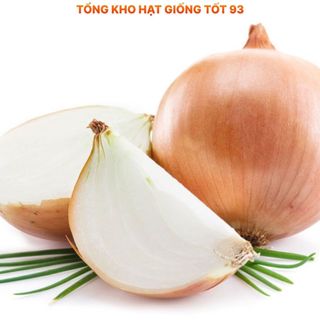 Hạt giống củ Hành Tây củ to hàng công ty Loại 1