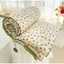 Chăn hè cotton xơ đậu nành trần bông nhập khẩu loại 1 mềm mịn thoáng mát 2mx2m3 - Chip Decor MS20