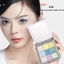 SHEDELLA Bảng Phấn Mắt 9 Ô Dream Nine Color Eyeshadow Palette 3 màu