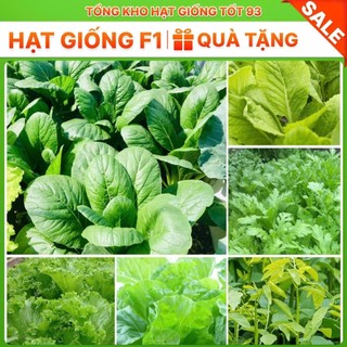 Hạt giống rau cải, rau ăn lá  năng Suất cao - hàng công ty Loại 1