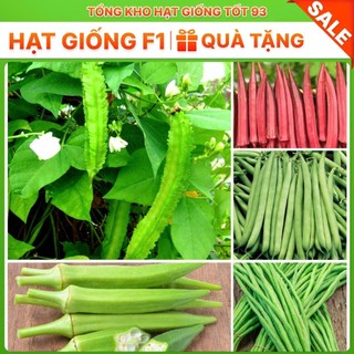 Hạt giống đậu F1 cực dễ trồng năng suất cao - hàng công ty Loại 1