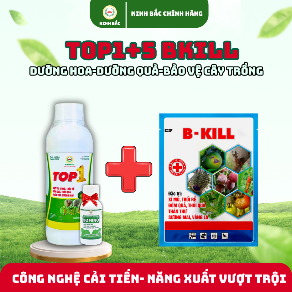 Cửa Hàng Cty Kinh Bắc , Cửa hàng trực tuyến | Shopee Việt Nam