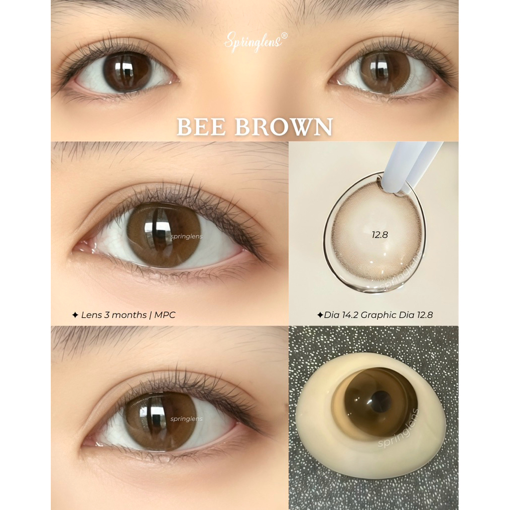 Kính áp tròng Bee Brown nâu hổ phách daily không giãn kết hợp Lin Brown x Choco MPC 3 tháng 0-7 độ | Spring Lens