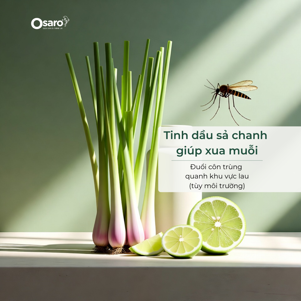 LS4KSC - NƯỚC LAU SÀN OSARO 4KG TINH DẦU SẢ CHANH – Lau sạch sàn, khô nhanh, giảm mùi, hương sả chanh dễ chịu