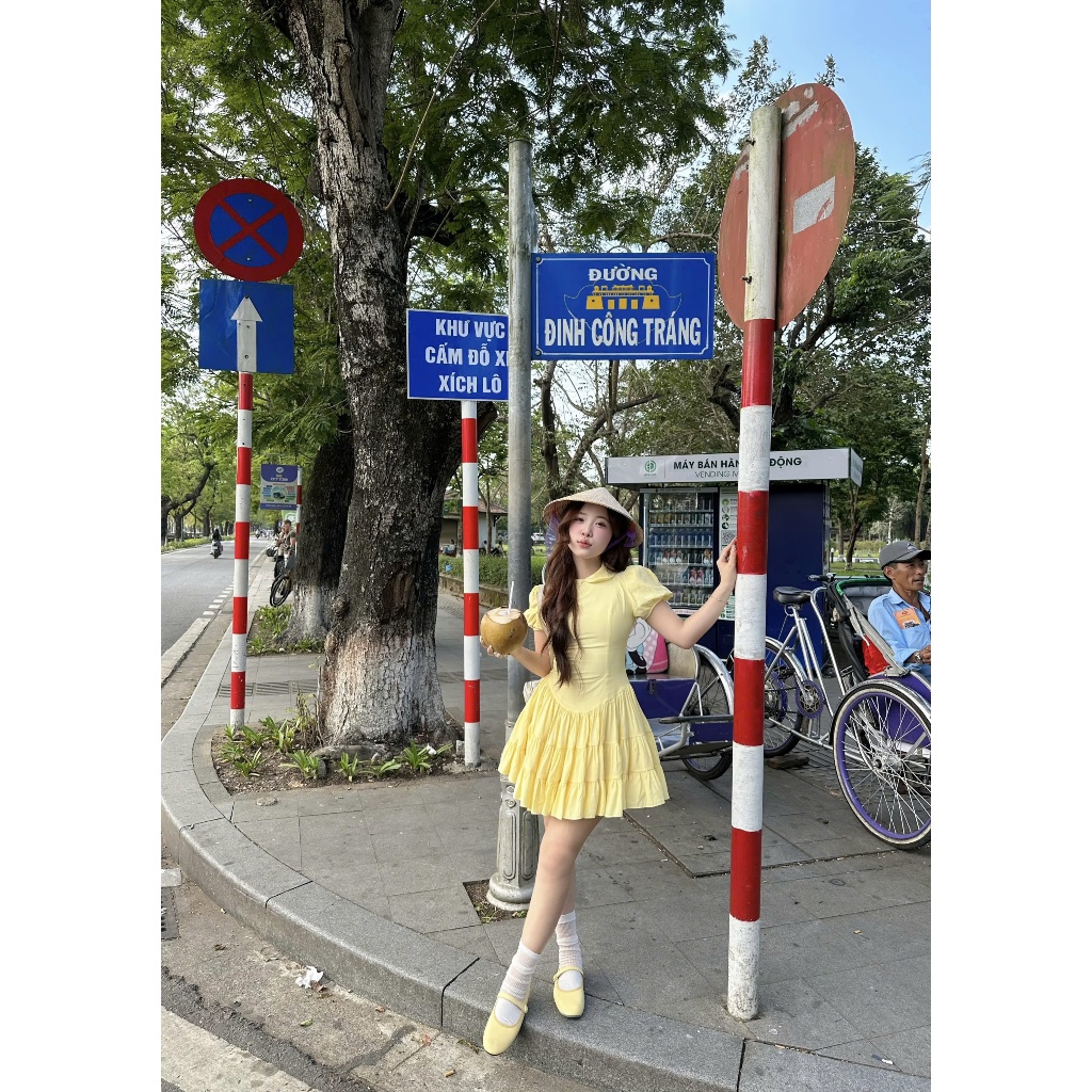 Đầm Nữ RYNDO DRESS Cổ Sen Form Xòe Công Chúa SECODEE