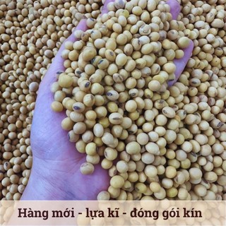 [500Gr] Đậu Nành Hữu Cơ Thuần Chủng Hồn Quảng - Loại 1 Nấu sữa, Làm Đậu Hũ Ngon Béo