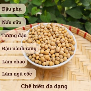 [500Gr] Đậu Nành Hữu Cơ Thuần Chủng Hồn Quảng - Loại 1 Nấu sữa, Làm Đậu Hũ Ngon Béo