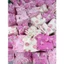 Combo 3 bộ tone hồng đáng yêu cho bé gái, chất vải cotton mềm mịn mặc đi học đi chơi - set 3b hồng nơ - Moonie Kid