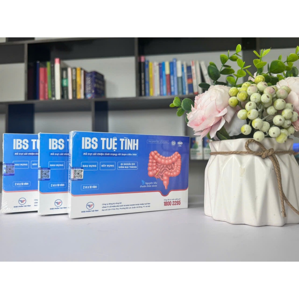 [COMBO 3H IBS Tuệ Tĩnh ], hỗ trợ tình trạng đau bụng, đầy bụng, viêm đại tràng, HCRKT, 3 hộp x 20v