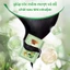 【Hộp 10 Gói】Dầu Gội Nhuộm Tóc Thảo Dược Tấm Thị, Dầu Gội Phủ Bạc Nhuộm Tóc Đen, Nâu Nuôi Dưỡng Kích Thích Mọc Tóc