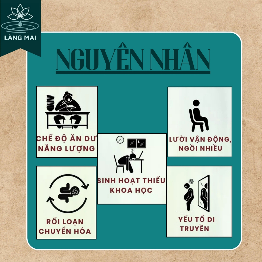 Viên Giảm Mỡ (Tiêu mỡ Giảm cân) - Làng Mai - Detox thải mỡ bụng, đùi giúp nhẹ người, điều chỉnh cân nặng.