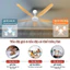 Quạt Trần,Quạt Trần Phòng Khách(Cao Cấp) 5 Cánh ASIA QT-15 40W,Động Cơ DC 5 cấp độ gió,Cánh Nhựa ABS,BH 24T