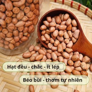 [500Gr] Đậu Phộng Sẻ HỒN QUẢNG (Đậu Sống) - Hữu Cơ Chắc Hạt, Thơm Béo Nấu Xôi, Làm Muối Vừng, Ép Dầu
