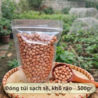 [500Gr] Đậu Phộng Sẻ HỒN QUẢNG (Đậu Sống) - Hữu Cơ Chắc Hạt, Thơm Béo Nấu Xôi, Làm Muối Vừng, Ép Dầu