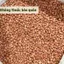 Đậu Phộng Sẻ HỒN QUẢNG (Đậu Sống) - Hữu Cơ Chắc Hạt, Thơm Béo Nấu Xôi, Làm Muối Vừng, Ép Dầu