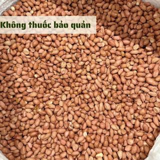 [500Gr] Đậu Phộng Sẻ HỒN QUẢNG (Đậu Sống) - Hữu Cơ Chắc Hạt, Thơm Béo Nấu Xôi, Làm Muối Vừng, Ép Dầu