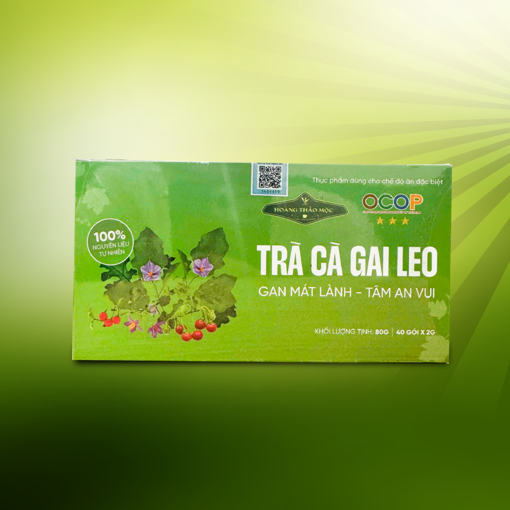 Trà cà gai leo túi lọc thanh lọc - thải độc gan