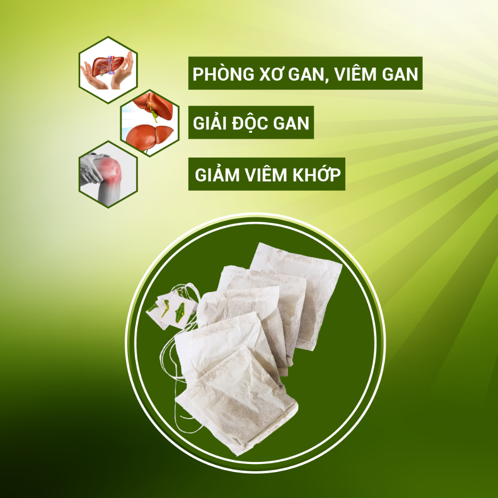 Trà cà gai leo túi lọc thanh lọc - thải độc gan