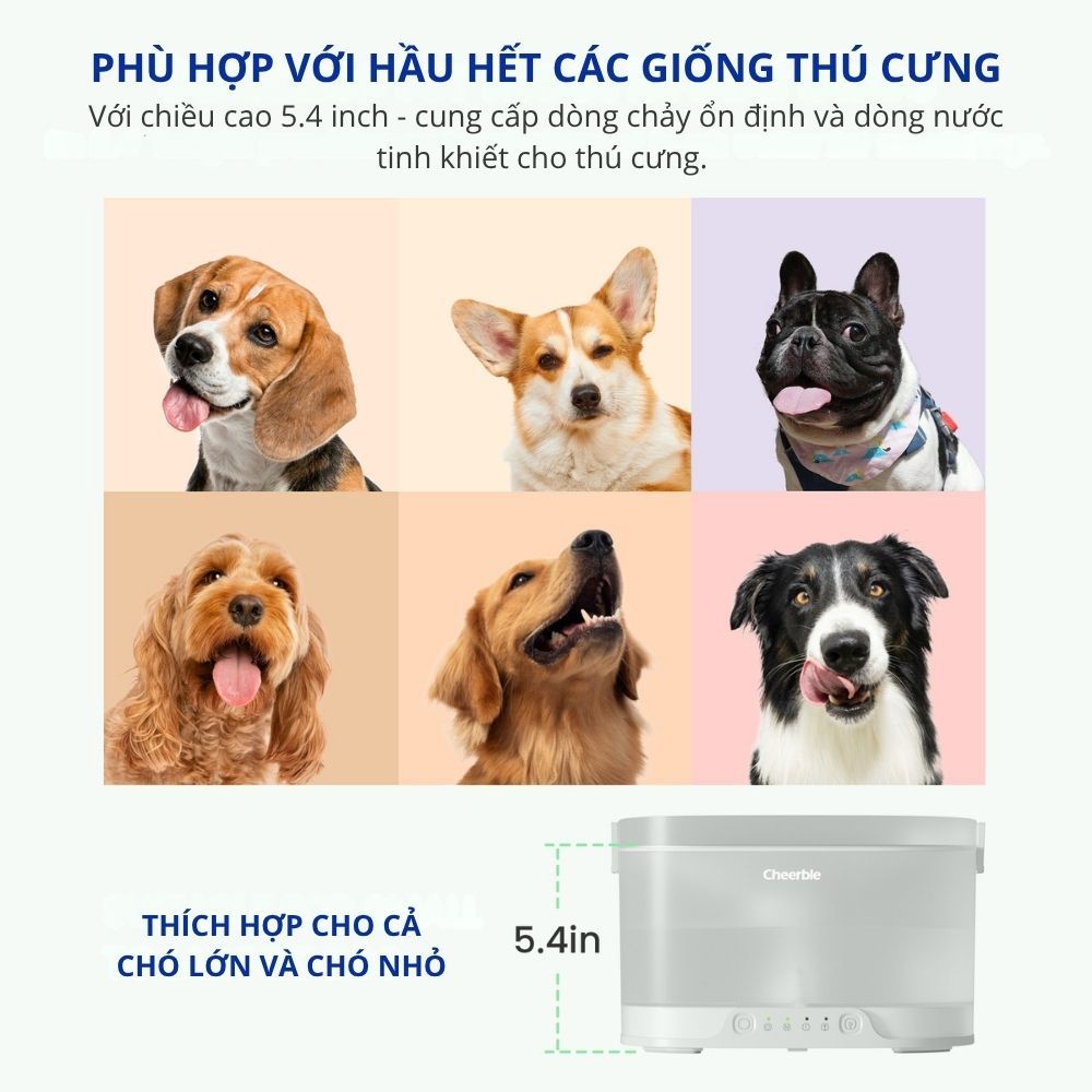 Máy Lọc Nước Tự Động Cho Chó Cheerble Elfin D1/ D1 Pro Sử Dụng Bơm Không Dây