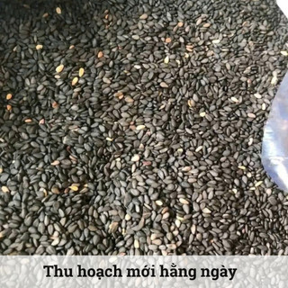 Mè Đen Hữu Cơ Hồn Quảng - Vừng Đen Nguyên Hạt, Thơm Bùi, Làm Sữa, Nấu Chè