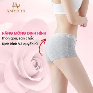 Quần Lót Boxer Nữ Cotton Phối Ren – Quần Chip Nữ Co Giãn Ôm Dáng, Thấm Hút Tốt AMYBRA L5522