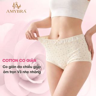 Quần Lót Boxer Nữ Cotton Phối Ren – Quần Chip Nữ Co Giãn Ôm Dáng, Thấm Hút Tốt AMYBRA L5522