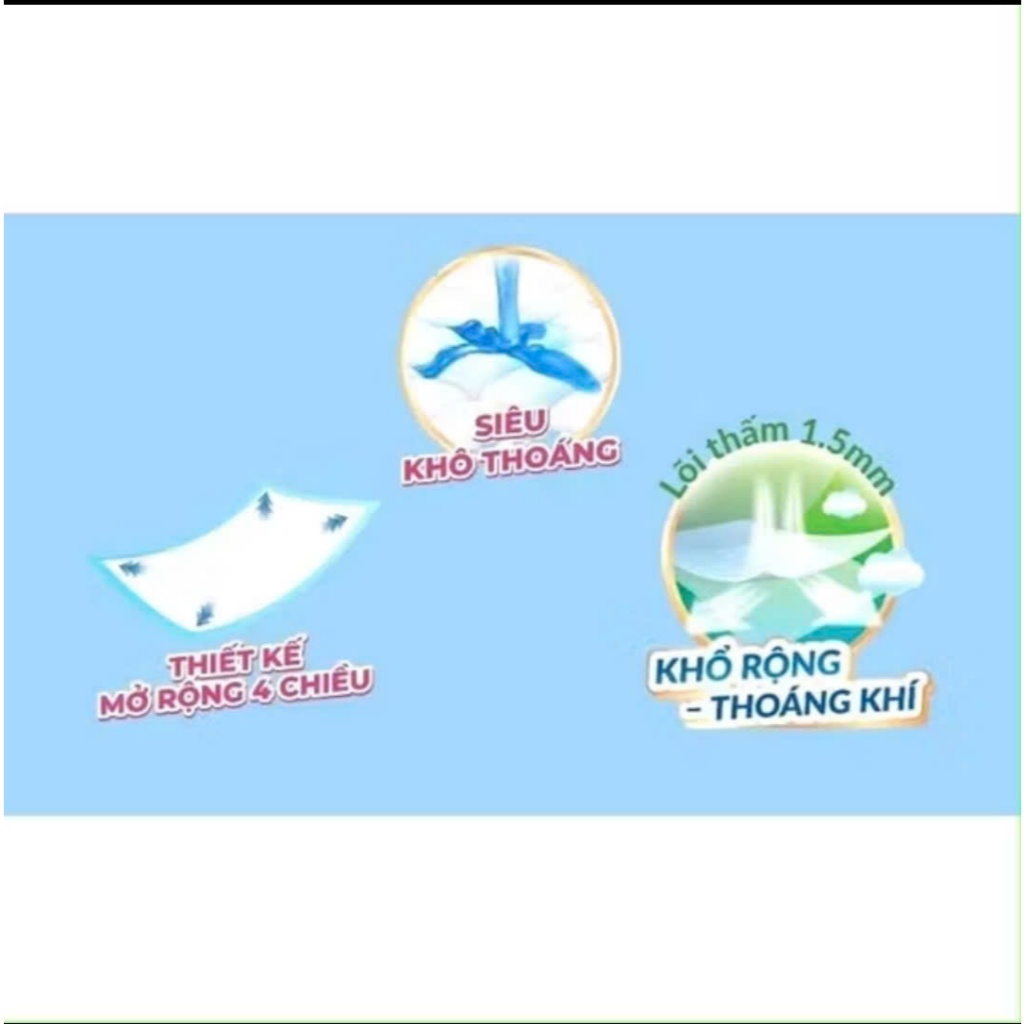 Tấm đệm lót Caryn dành cho người già chống trào, siêu thấm hút dùng kèm tã dán L10/L20/XL14