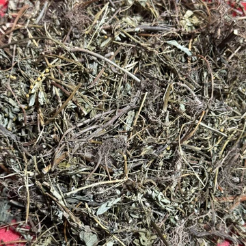 1KG Diệp hạ châu (cây chó đẻ răng cưa) KHÔ, đánh bay sỏi thận, tiểu đường, hỗ trợ hạ men gan