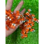 Cầu Chì Gắn Xe Máy ( 10A Lớn, 1 hộp 100 cái ) Cao Cấp Chất Lượng Cao