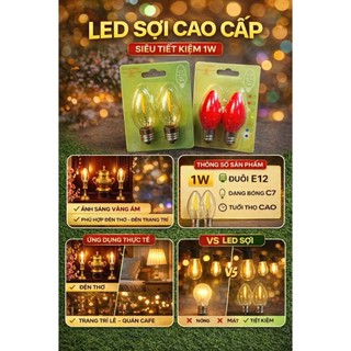 ĐÈNLED SỢI QUẢ NHÓT CAO CẤP E12 – TIẾT KIỆM ĐIỆN, ÁNH SÁNG ĐẸP