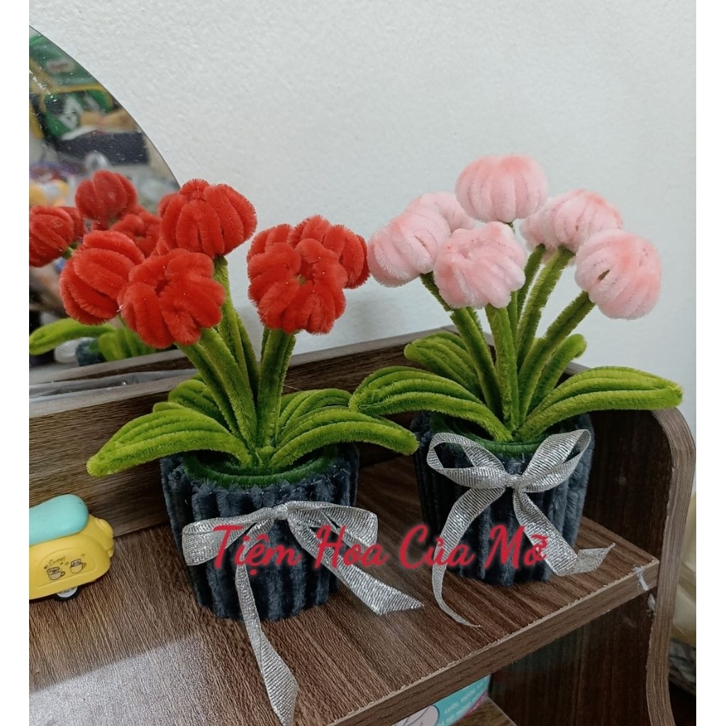Chậu Hoa Tulip Kẽm Nhung Mini , Cành Tulip Mini Kẽm Nhung Siêu Xinh