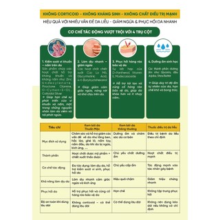 Kem Bôi Da Thuần Mộc - Bôi Mụn, Giảm Mẩn Ngứa, Rôm Sảy Tuýp 16g