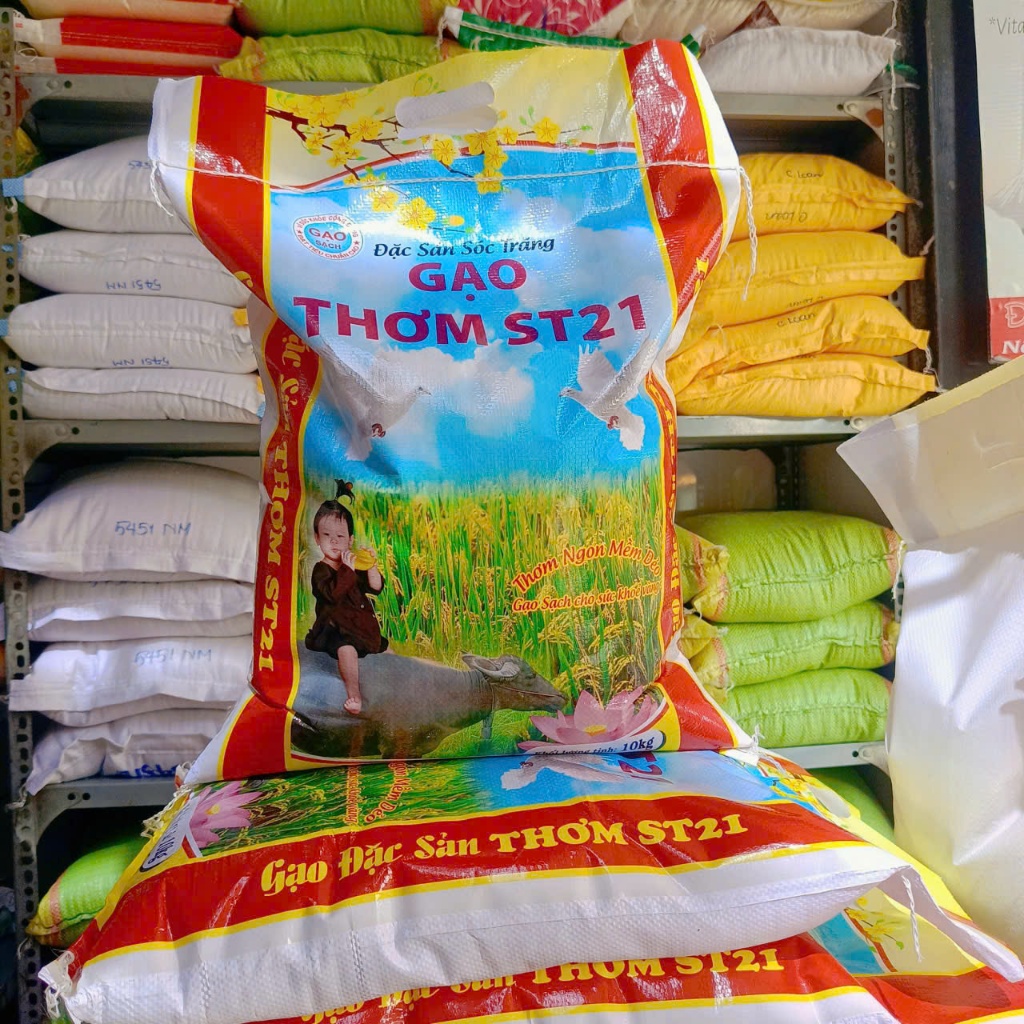 Gạo Thơm ST21 ( Xát Mộc ) không đánh bóng, hạt đục, DẺO VỪA, MỀM, THƠM - không chất tạo mùi, không chống mọt