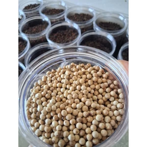 500gr Hạt Tiêu Sọ trắng Famiyumi CAY, THƠM, hạt chắc, đều