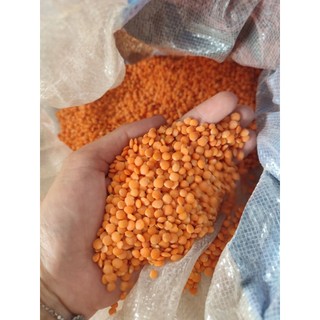 250gr đậu lăng đỏ hữu cơ. Đậu lăng nhập khẩu Canada- lăng đỏ nấu sữa, ăn dặm, ngũ cốc
