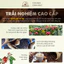Túi thơm cà phê Phước Sơn - Hạt cà phê nguyên chất chuyên khử mùi ô tô