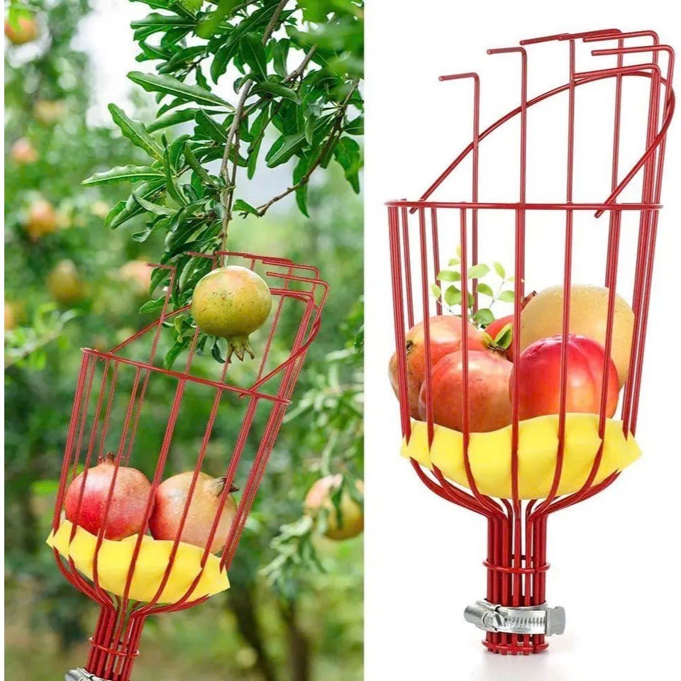 Giỏ hái trái cây,dụng cụ giật hái trái cây lồng vặt hoa quả trên cao có sơn tĩnh điện tiện lợi